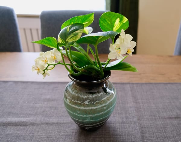 My Introduction to Cloning